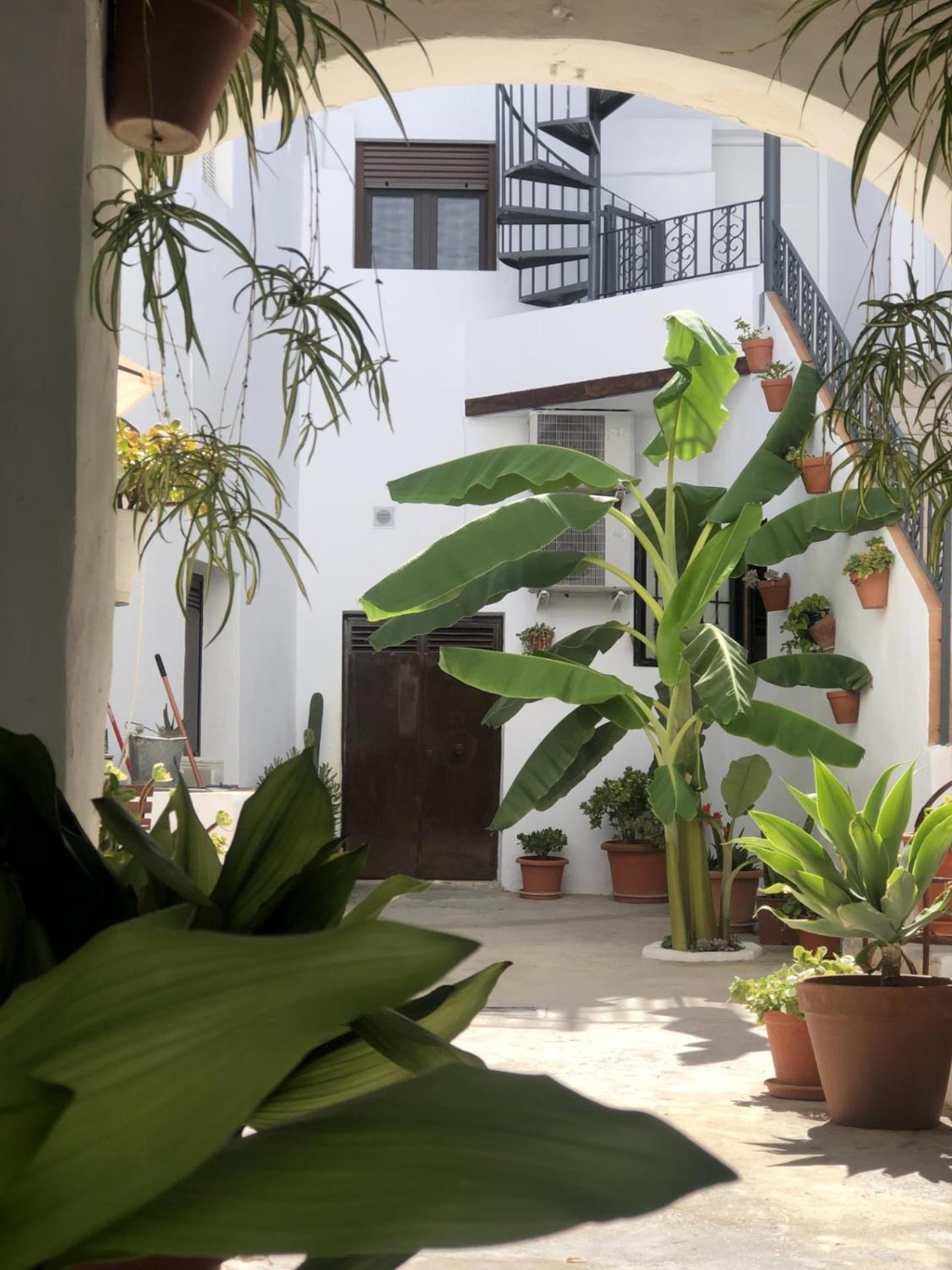 Loft La Abuela Διαμέρισμα Vejer de la Frontera Εξωτερικό φωτογραφία